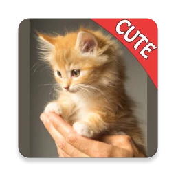 Ícone de CUTE CATS Memory matching Game